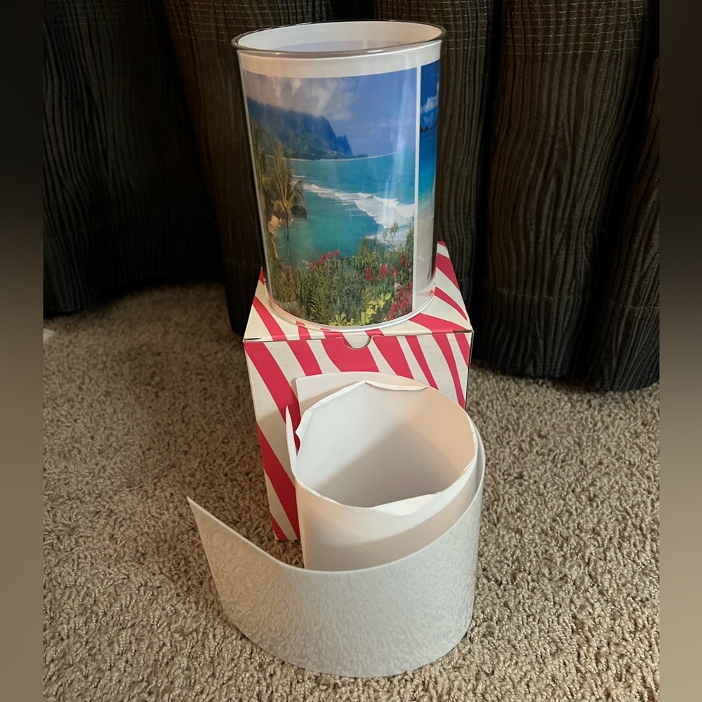 Pink Zebra rare clear glass personalizable photo accent shade